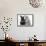 Maine Coon Kitten, 8 Weeks, and Black Baby Dutch X Lionhead Rabbit-Mark Taylor-Framed Stretched Canvas displayed on a wall