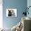 Maine Coon Kitten, 8 Weeks, and Black Baby Dutch X Lionhead Rabbit-Mark Taylor-Photographic Print displayed on a wall