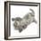 Maine Coon Kitten, 8 Weeks, Lying on its Back, Looking Up in a Playful Manner-Mark Taylor-Framed Photographic Print