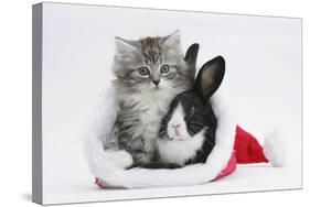 Maine Coon Kitten, 8 Weeks Old, and Baby Dutch X Lionhead Rabbit in a Father Christmas Hat-Mark Taylor-Stretched Canvas