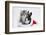 Maine Coon Kitten, 8 Weeks Old, and Baby Dutch X Lionhead Rabbit in a Father Christmas Hat-Mark Taylor-Framed Photographic Print