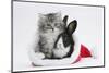 Maine Coon Kitten, 8 Weeks Old, and Baby Dutch X Lionhead Rabbit in a Father Christmas Hat-Mark Taylor-Mounted Photographic Print