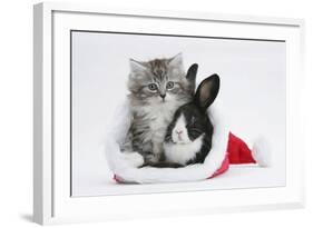 Maine Coon Kitten, 8 Weeks Old, and Baby Dutch X Lionhead Rabbit in a Father Christmas Hat-Mark Taylor-Framed Photographic Print