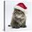 Maine Coon Kitten, 8 Weeks Old, Wearing a Father Christmas Hat-Mark Taylor-Stretched Canvas