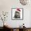 Maine Coon Kitten, 8 Weeks Old, Wearing a Father Christmas Hat-Mark Taylor-Framed Stretched Canvas displayed on a wall