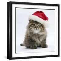 Maine Coon Kitten, 8 Weeks Old, Wearing a Father Christmas Hat-Mark Taylor-Framed Photographic Print