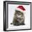 Maine Coon Kitten, 8 Weeks Old, Wearing a Father Christmas Hat-Mark Taylor-Framed Photographic Print