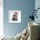 Maine Coon Kitten, 8 Weeks Old, Wearing a Father Christmas Hat-Mark Taylor-Framed Photographic Print displayed on a wall