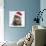 Maine Coon Kitten, 8 Weeks Old, Wearing a Father Christmas Hat-Mark Taylor-Photographic Print displayed on a wall