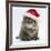 Maine Coon Kitten, 8 Weeks Old, Wearing a Father Christmas Hat-Mark Taylor-Framed Photographic Print