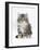 Maine Coon Kitten, 8 Weeks-Mark Taylor-Framed Photographic Print