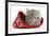 Maine Coon Kitten Asleep in a Christmas Hat-Mark Taylor-Framed Photographic Print