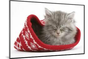 Maine Coon Kitten Asleep in a Christmas Hat-Mark Taylor-Mounted Photographic Print