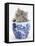 Maine Coon Kitten in a Blue China Pot-Mark Taylor-Framed Stretched Canvas