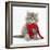 Maine Coon Kitten Wearing a Christmas Scarf-Mark Taylor-Framed Photographic Print