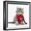 Maine Coon Kitten Wearing a Christmas Scarf-Mark Taylor-Framed Photographic Print