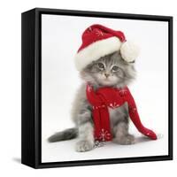 Maine Coon Kitten Wearing a Father Christmas Hat and Scarf-Mark Taylor-Framed Stretched Canvas