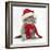 Maine Coon Kitten Wearing a Father Christmas Hat and Scarf-Mark Taylor-Framed Photographic Print