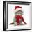 Maine Coon Kitten Wearing a Father Christmas Hat and Scarf-Mark Taylor-Framed Photographic Print