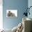 Maine Coon Mother Cat, Serafin, and Two 7-Week- Kittens-Mark Taylor-Photographic Print displayed on a wall