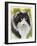 Maine Coon-Barbara Keith-Framed Giclee Print