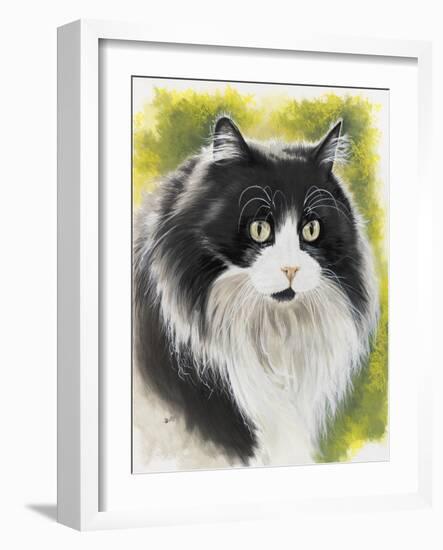 Maine Coon-Barbara Keith-Framed Giclee Print