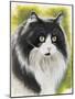 Maine Coon-Barbara Keith-Mounted Giclee Print