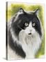 Maine Coon-Barbara Keith-Stretched Canvas
