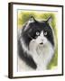 Maine Coon-Barbara Keith-Framed Giclee Print