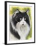 Maine Coon-Barbara Keith-Framed Giclee Print