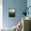Maine, Doubling Point Lighthouse, USA-Alan Copson-Framed Stretched Canvas displayed on a wall