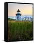 Maine, Doubling Point Lighthouse, USA-Alan Copson-Framed Stretched Canvas