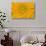 Maine, Harpswell. Sunflower Detail-Jaynes Gallery-Stretched Canvas displayed on a wall