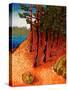 Maine Hillside-John Newcomb-Stretched Canvas