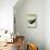 Maine - Humpback Whale and Nautical Chart-Lantern Press-Stretched Canvas displayed on a wall