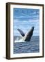 Maine - Humpback Whale Scene-Lantern Press-Framed Art Print