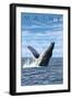 Maine - Humpback Whale Scene-Lantern Press-Framed Art Print