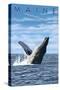 Maine - Humpback Whale Scene-Lantern Press-Stretched Canvas