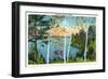 Maine, Lakeside View of Birch Trees-Lantern Press-Framed Art Print