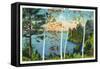 Maine, Lakeside View of Birch Trees-Lantern Press-Framed Stretched Canvas