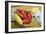 Maine Lobster and Corn on the Cob-Jon Hicks-Framed Photographic Print