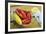 Maine Lobster and Corn on the Cob-Jon Hicks-Framed Photographic Print