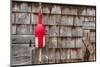 Maine Lobster Shack-Steve Gadomski-Mounted Photographic Print