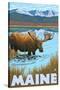 Maine - Moose Drinking in Lake-Lantern Press-Stretched Canvas