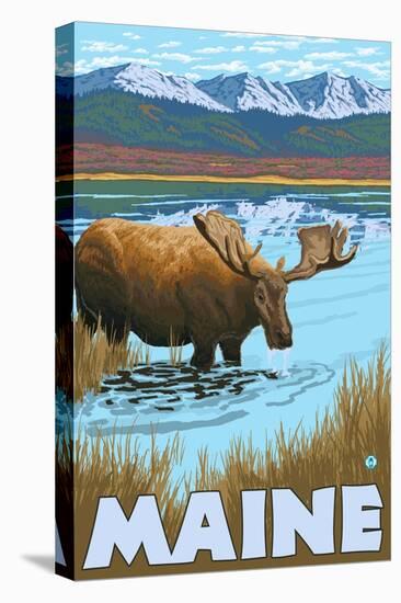Maine - Moose Drinking in Lake-Lantern Press-Stretched Canvas