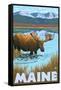 Maine - Moose Drinking in Lake-Lantern Press-Framed Stretched Canvas