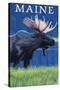 Maine - Moose in the Moonlight-Lantern Press-Stretched Canvas