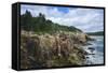 Maine, Mt. Desert Island, Acadia National Park, Cliffs by Sand Beach-Walter Bibikow-Framed Stretched Canvas