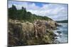 Maine, Mt. Desert Island, Acadia National Park, Cliffs by Sand Beach-Walter Bibikow-Mounted Photographic Print