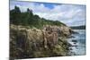 Maine, Mt. Desert Island, Acadia National Park, Cliffs by Sand Beach-Walter Bibikow-Mounted Photographic Print